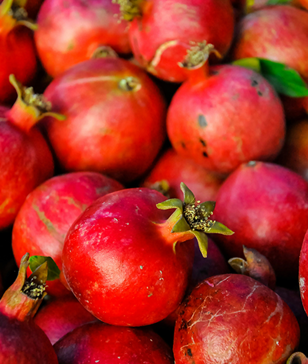 pomegranate